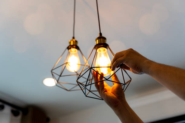 Best Electric Panel Repair  in Cibecue, AZ